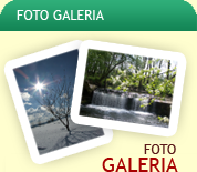 Galeria FOTO